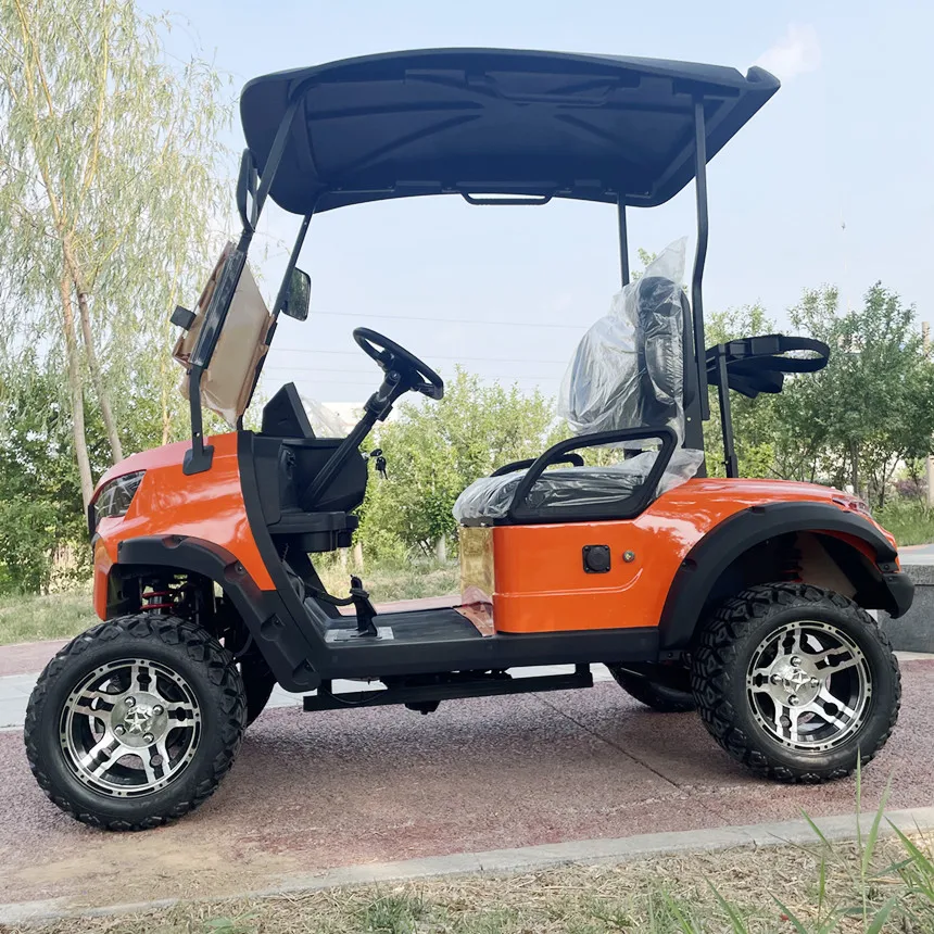 Off-Road Golf Cart Hot Sale Customized Long Endurance 10 Inch Screen 14-Inch Off-Road Tires Electric Kart Shopping Cart