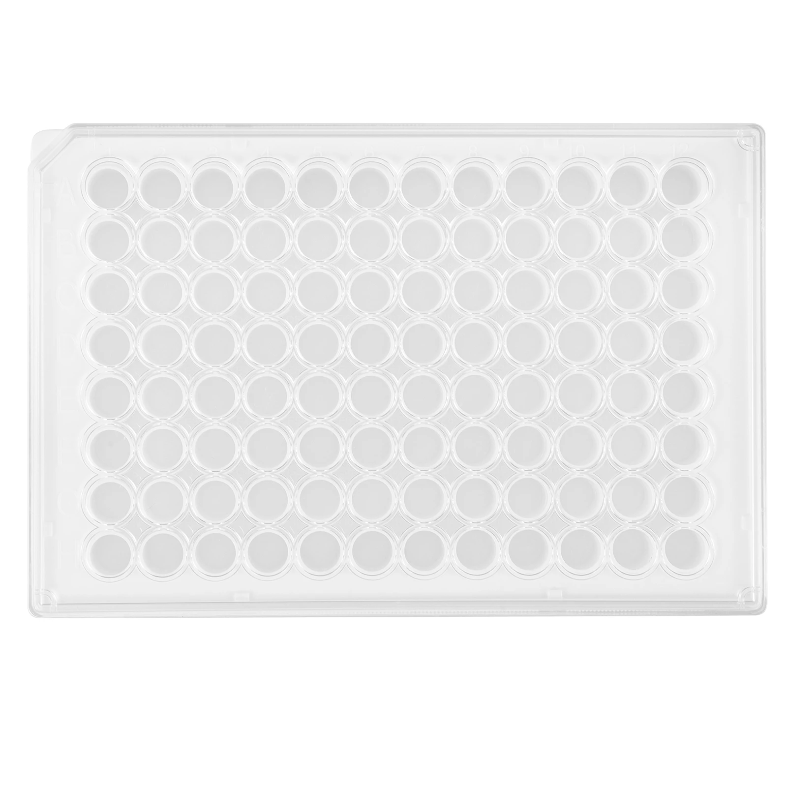 

96 Wells Cell Culture Plate Equipment Tissue Tools for Laboratory Analysis Reusable Plastic Petri Dish