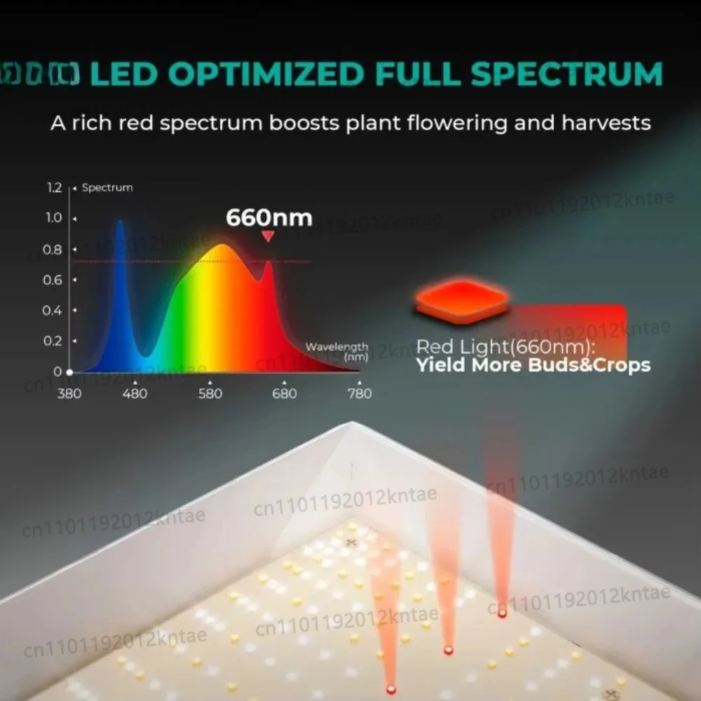 Beginner Series Full Spectrum Tunable Light Emitting Diode Grow Light