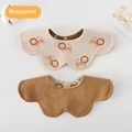 Milk apricot Lion