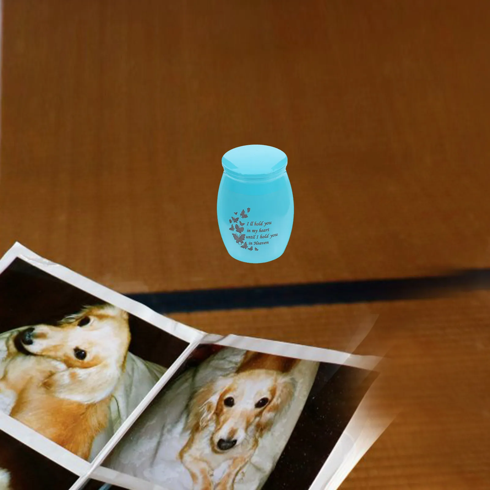 Ashes Placement Box Container for Human Containers Urn Cremation Keepsakes Pet Little Urns