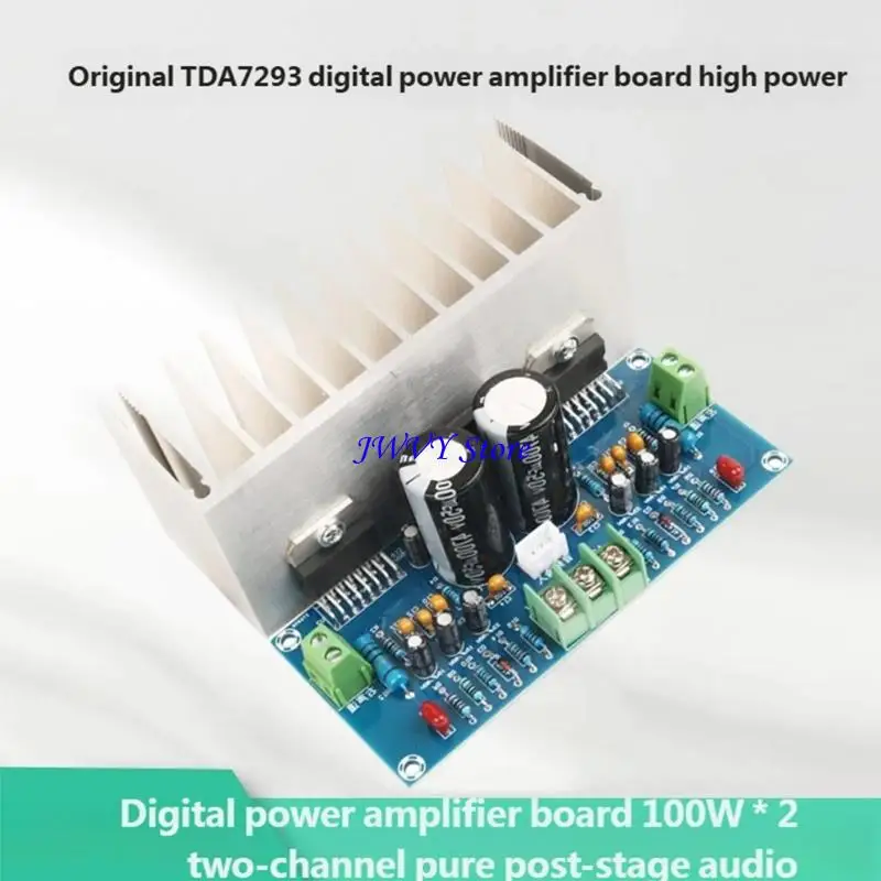 573A Hocheffiziente digitale Soundverstärkerplatine 100 W x 2 mit fortschrittlicher Kühltechnologie für professionelle – Detail 2