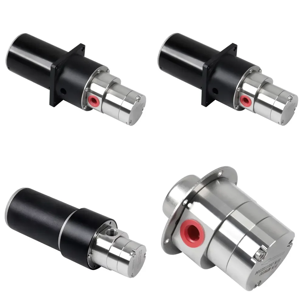【2026 Hot Selling】 12V 24V Non Leakage Chemical Small Magnetic Drive Pump Gear Metering Pump Mini Gear Water Pump Stainless