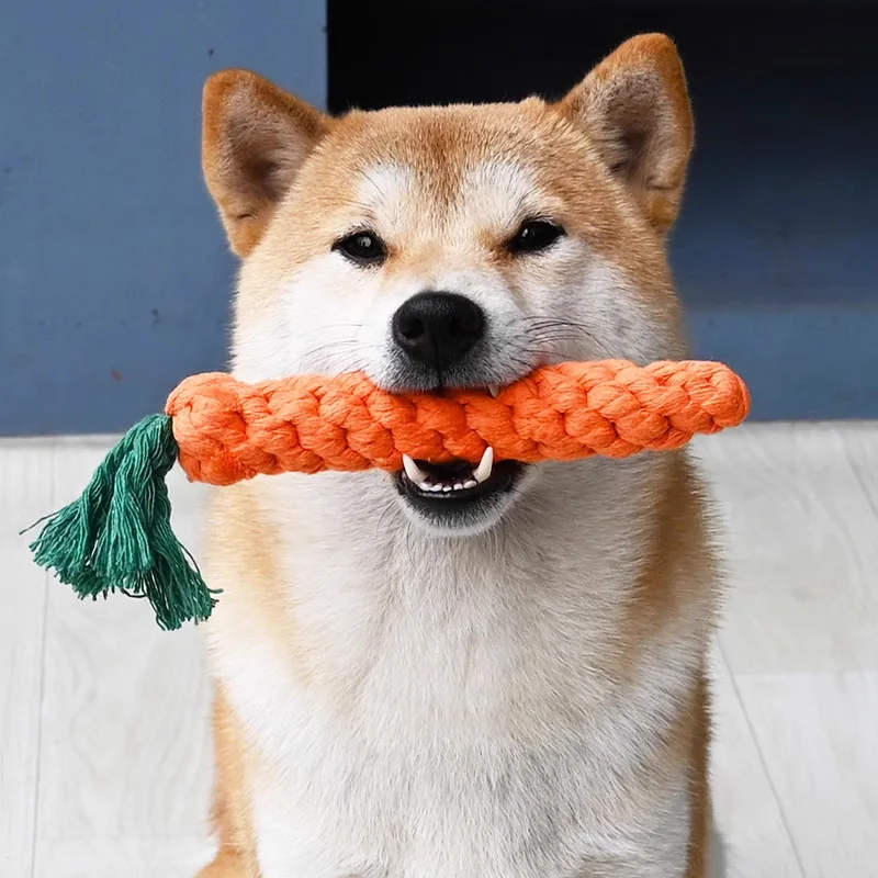 

Carrot Dog Bite Rope Pet Dog Toys Safe Durable Braided Bite Dog Chew Toys Resistant Puppy Molar Cleaning Teeth Cotton Rope