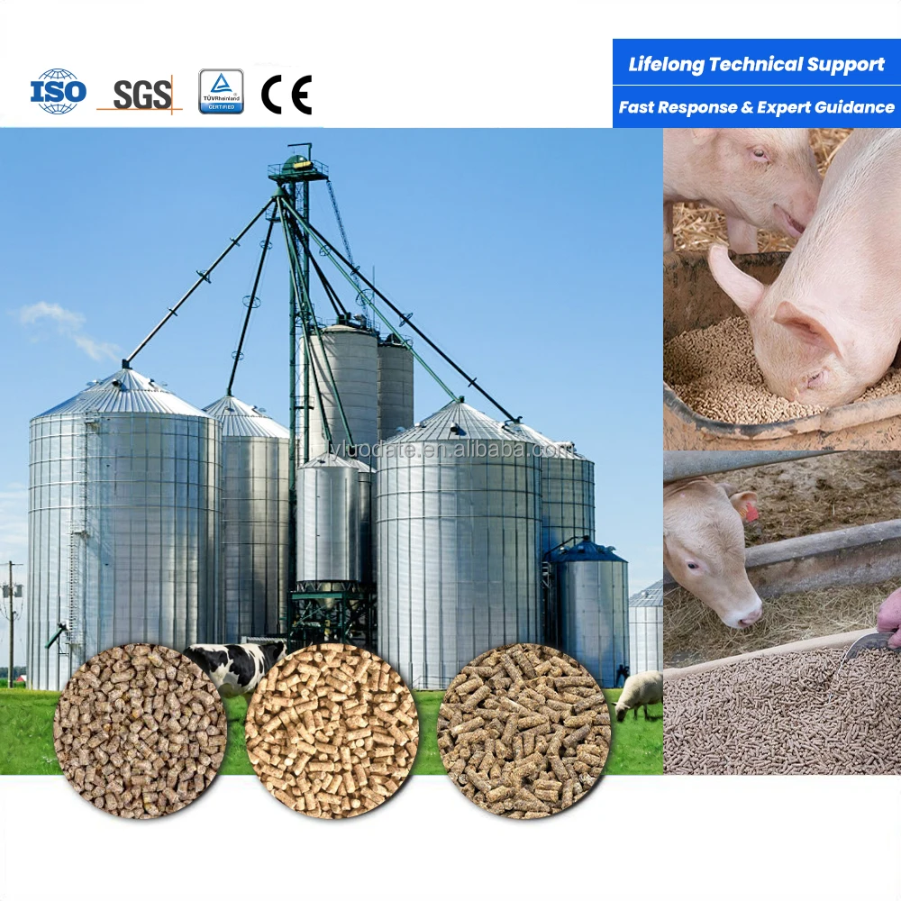 Integrated Feed Processing Line 7-10 Ton Per Hour - Poultry & Livestock Pellet Feed Plant for Sale