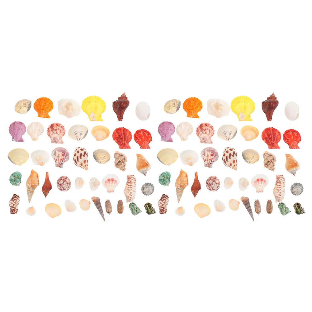 160Pcs Natural Shells Conch Ornaments Decorative Hermit Crab Shells for Fish Tank Vase Crafts Home Decoration DIY Sea Shell