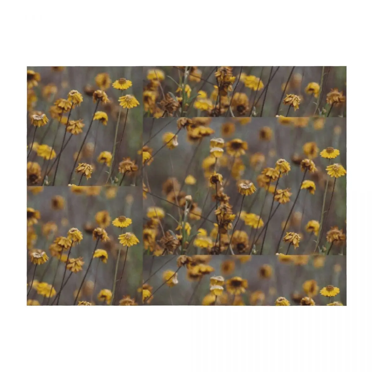

Wild yellow daisies Throw Blanket Picnic Luxury Thicken heavy to sleep Sofa Throw Blankets