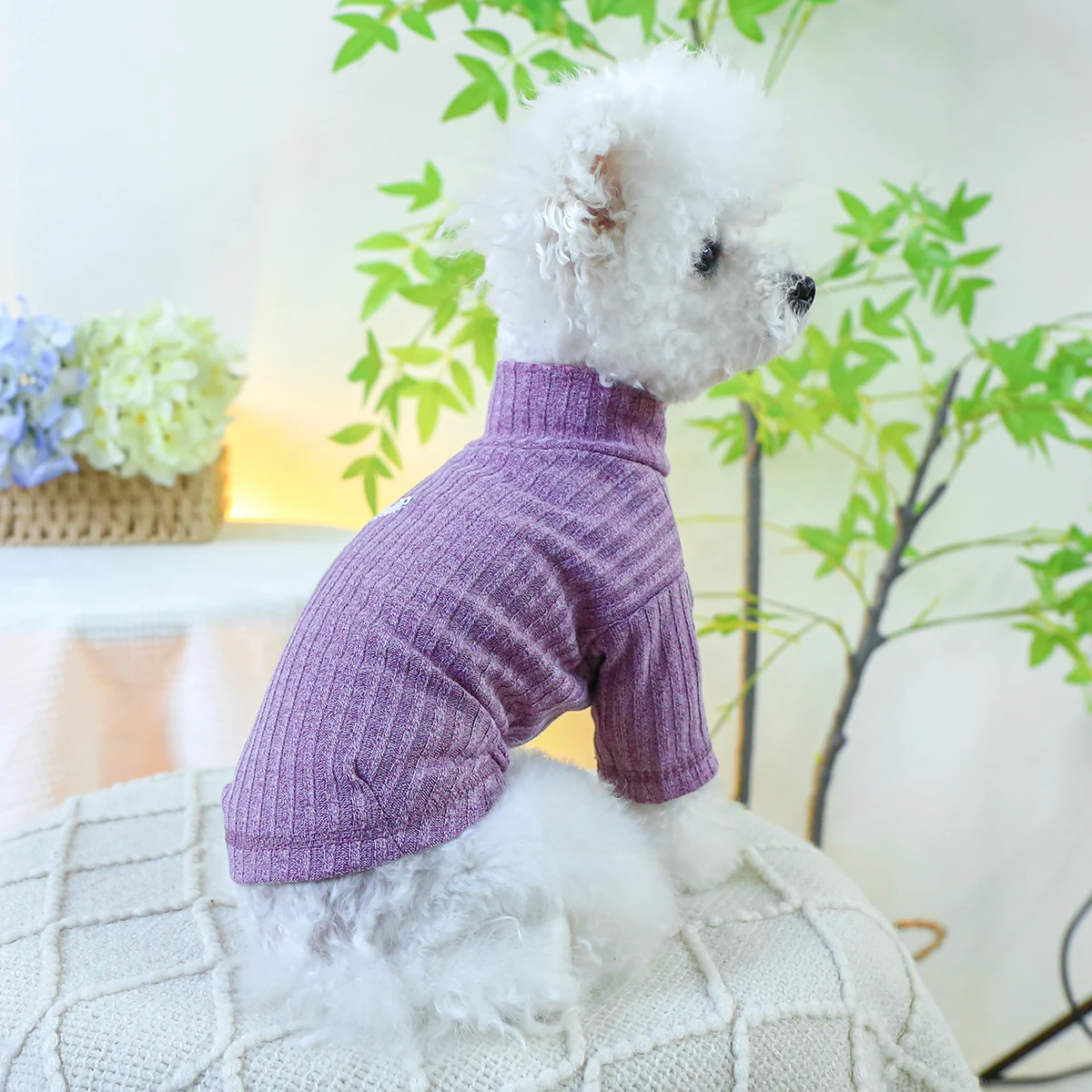 PETCIRCLE Dog Clothes Casual Polar Bear Bottoming Shirt For Small Dog Puppy Pet Cat All Season Pet Cute Costume Pet Clothes Coat