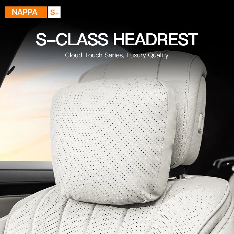 Car Interior 5-Colo…