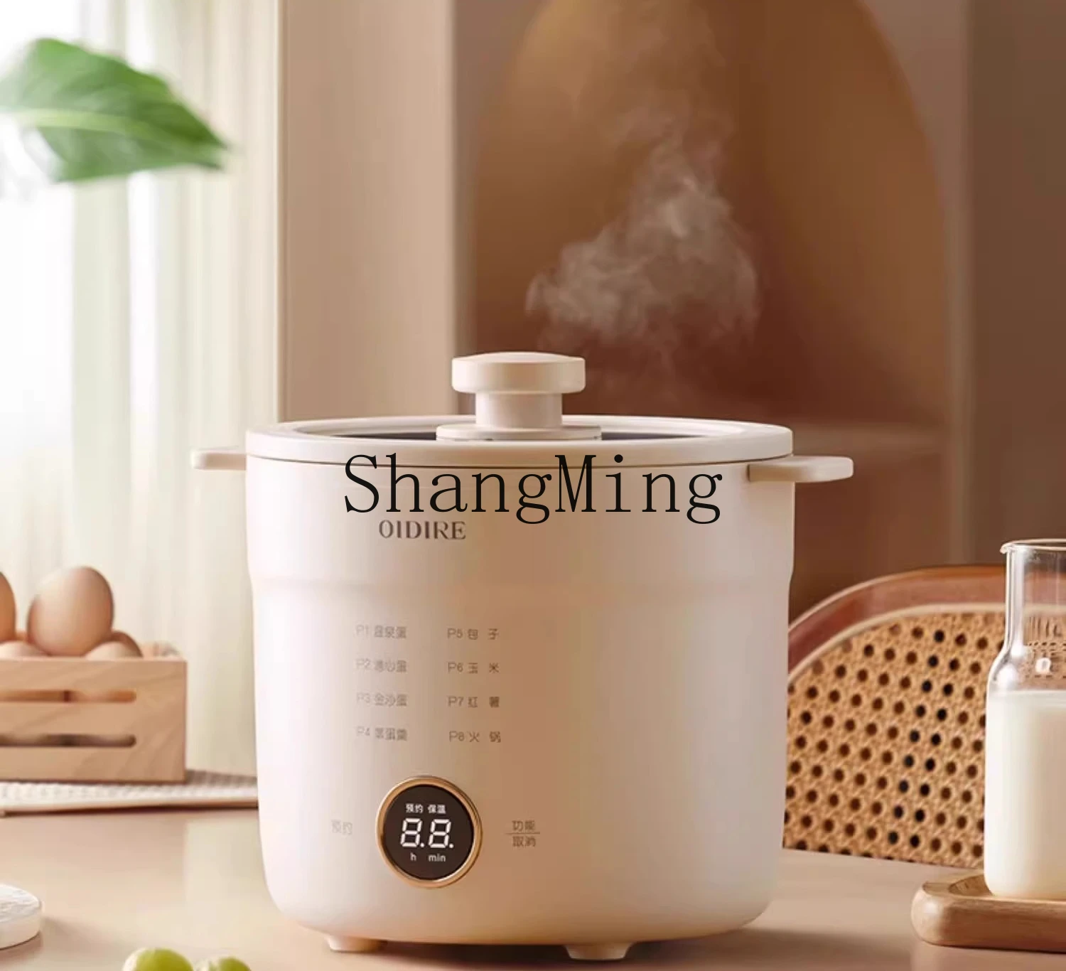 ZYY piccolo artefatto multifunzionale per la cottura delle uova con spegnimento automatico per uso domestico