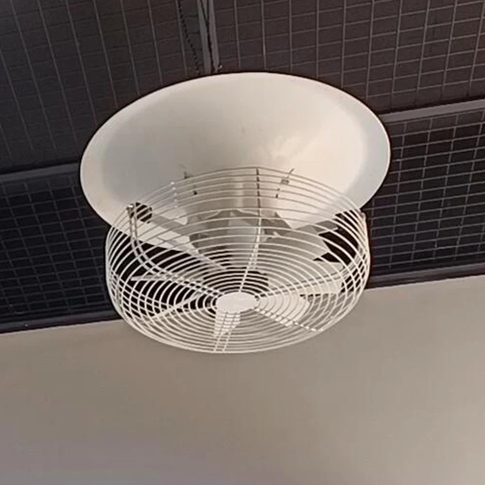 

2024 New Products Vertical Air Circulation Fan for Greenhouse Ventilation System