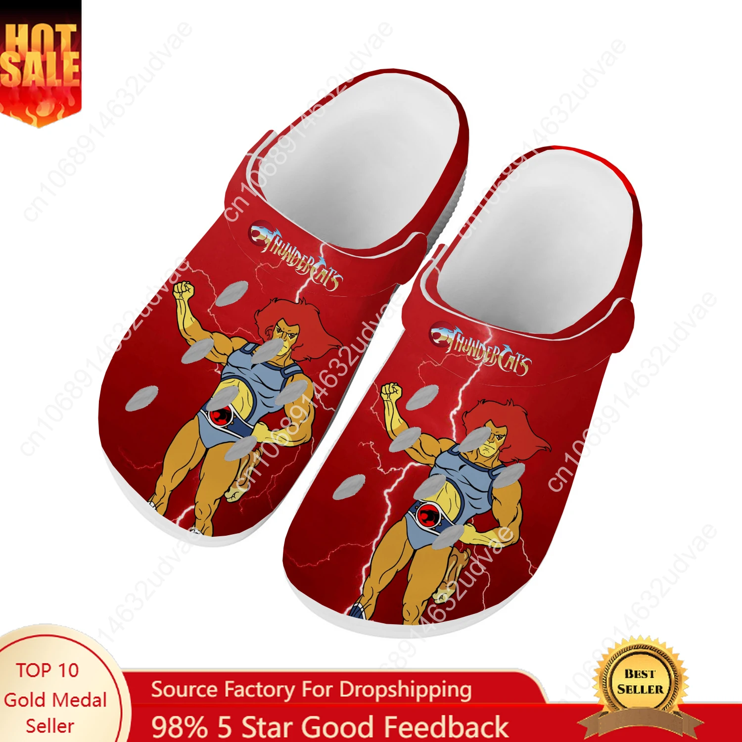 

Thundercats Water Shoes Men Women Teenager Comfortable Fashion Home Garden Clogs Custom Sandals Beach Breathable Hole Slippers