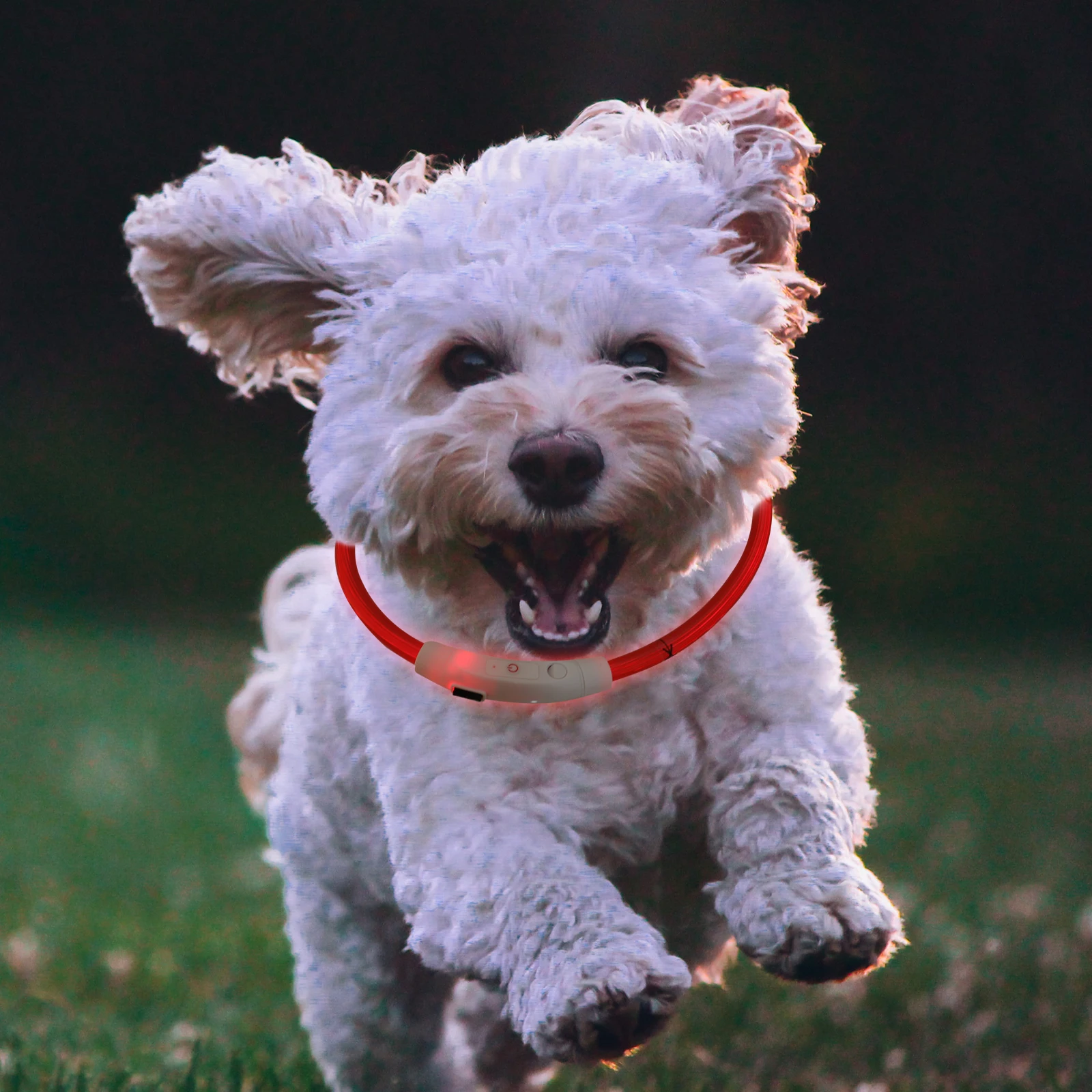 

Rechargeable Led Dog Glowing Usb Puppy Plastic Durable Light Night Walking Camping Pet Collar Light Up Fashion Pet Usb Charge