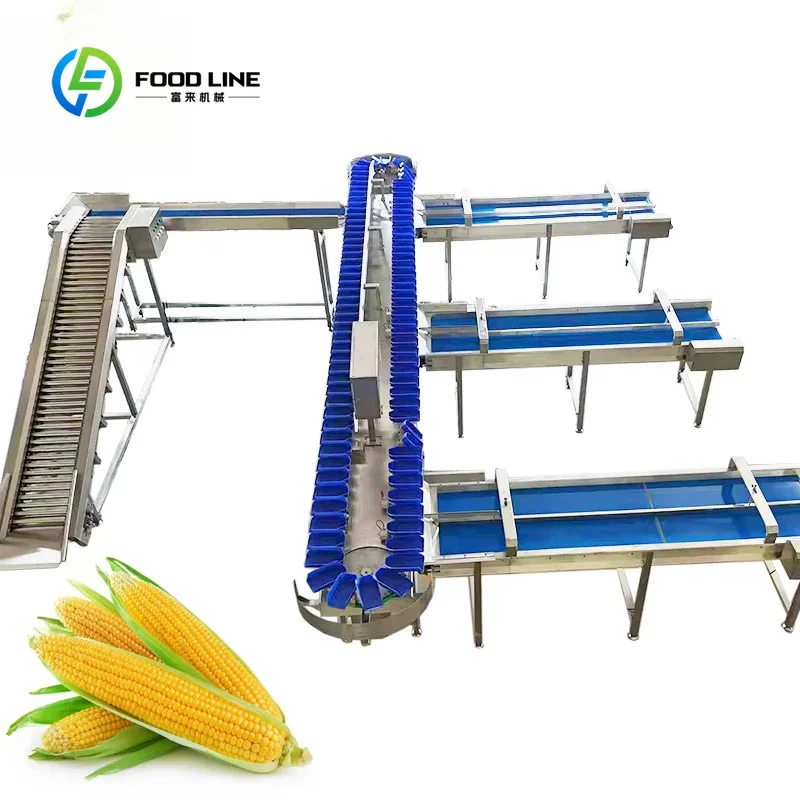 Universal Automatic Weight Sorting Machine for Onion, Garlic, Blueberry & Seafood Processing, Specializing in Potato Customized