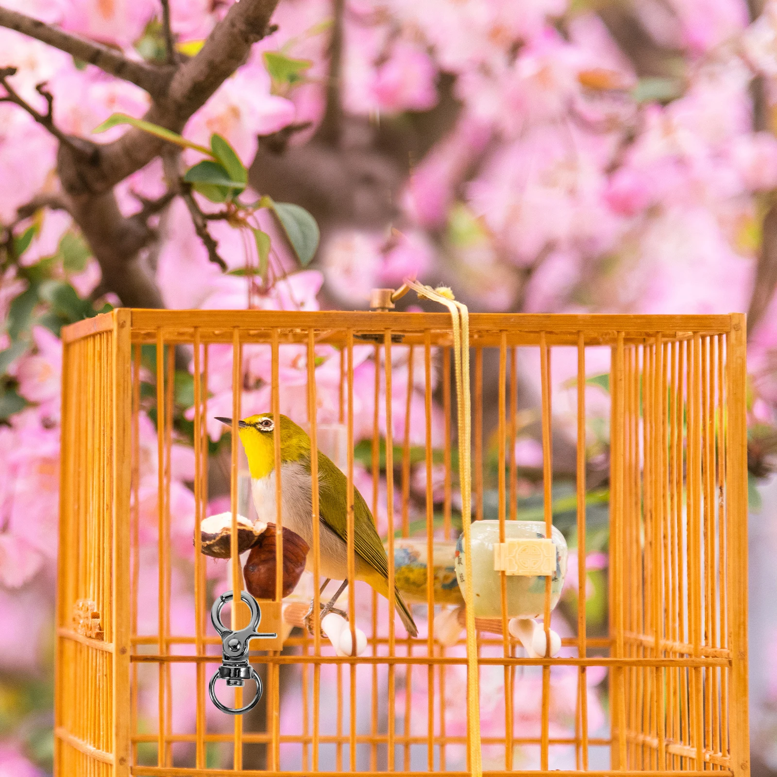 

Birdcage Lock Anti-escape Accessory for Pet Buckles Door Replacement Parts Accessories