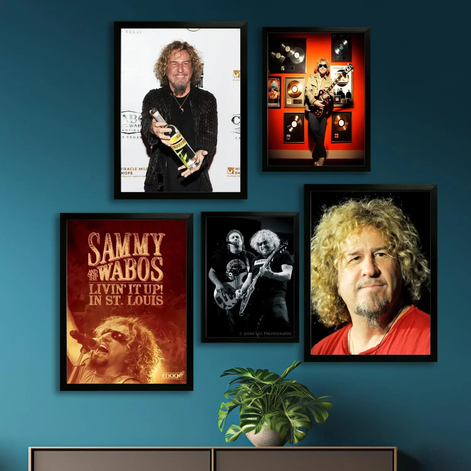 Sammy Hagar Canvas Art Poster and Wall Art, Picture Print, Modern Family, Bedroom Decor, Posters,Decorative painting