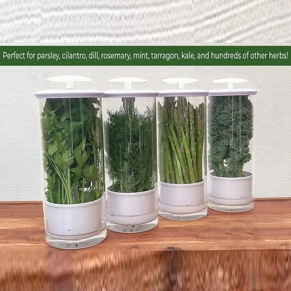 Accessori BPA Free Herb Keeper Kitchen Supplies bottiglia di conservazione universale per presserver per erbe durevoli