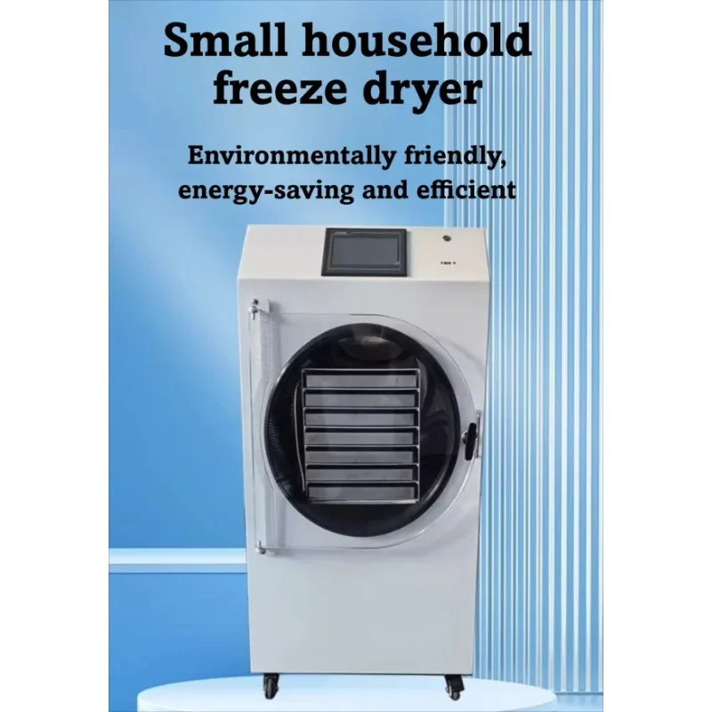 Popular Small Food Freeze Drying Machine Freeze Dryer with Vacuum Pump for Drying Candy Vegetable Fruit Pet Food