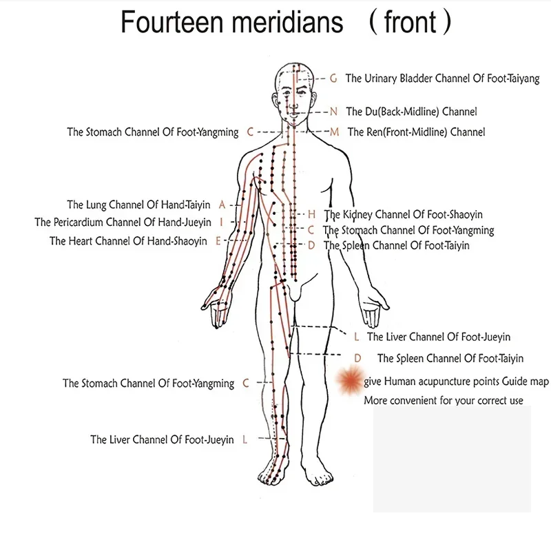 Nuovo massaggiatore EMS macchina per la stimolazione dell'elettroacopuntura terapia neuromuscolare 6 forme d'onda 6 patch di uscita massaggio infermieristico KWD808-I
