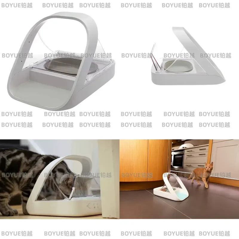 for Smart Chip Induction Recognition Multi Cat Automatic Feeder for Cats and Dogs Fresh Food Prevention