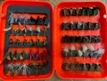 Only 60pcs lure