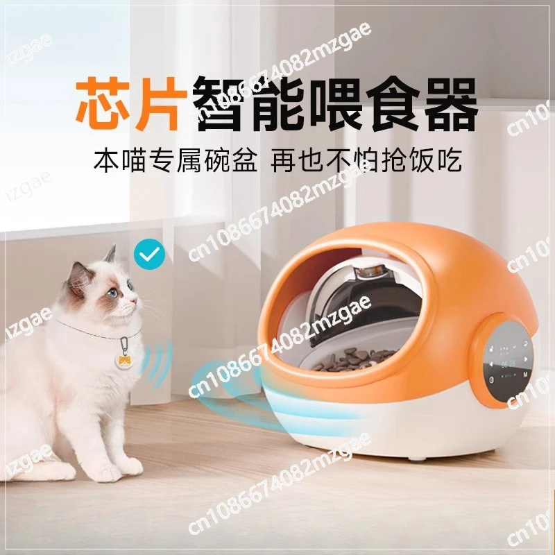 Anti-grab chip recognizes multi-cat automatic feeder timing remote control