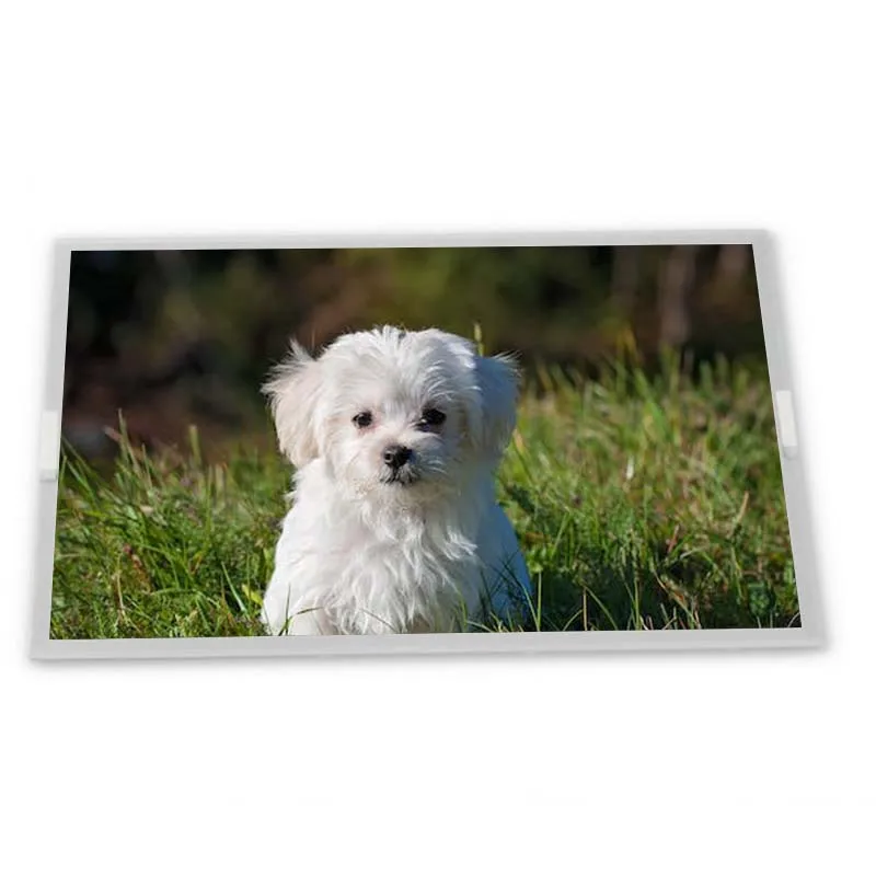 G190ETN01.2 19 1280*1024 TFT-LCD Screen Panel Zhiyan supply