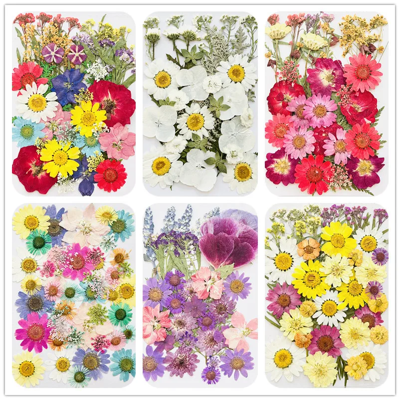 40Pcs Photo Frame Plant Specimens Colorful Mixed Pressed Flowers Set Real Flowers and Leaves Mix and Match for Journaling Bookmarks DIY Handmade Materials Coasters