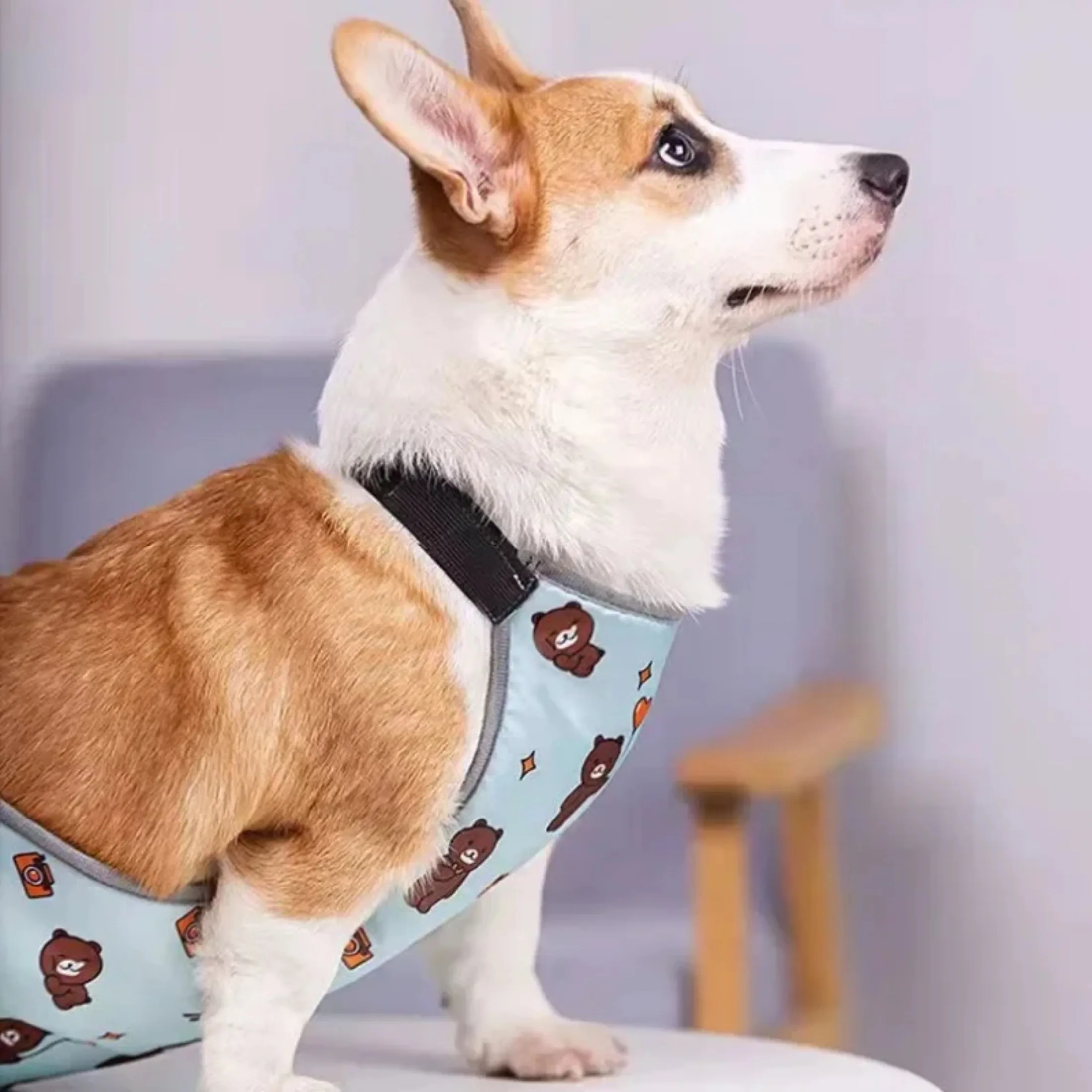 Corgi Special Apron Waterproof Anti-dirty Dog Summer Stomach Protection Anti-cold Small Dog Clothes Corgi Clothe Pet Clothes