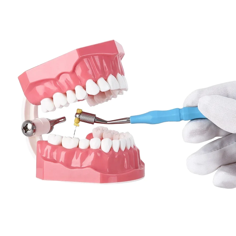 

Держатель файлов корневых каналов зубов, увеличенный держатель иглы, ручной держатель файлов, ручка можно стерилировать при высокой температуре