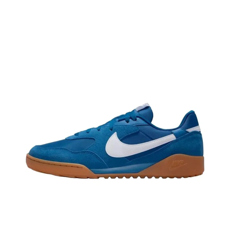 Nike Terra Manta Low top Casual Shoes Men's Blue IB7254-400