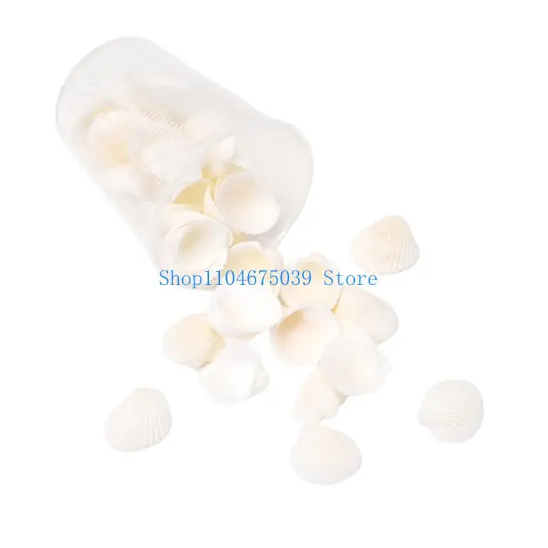 5asd Seashells Art Materials Handmade Jewelry Accessories Creative Seashells Home Decors Materials Seashells Crafting Set