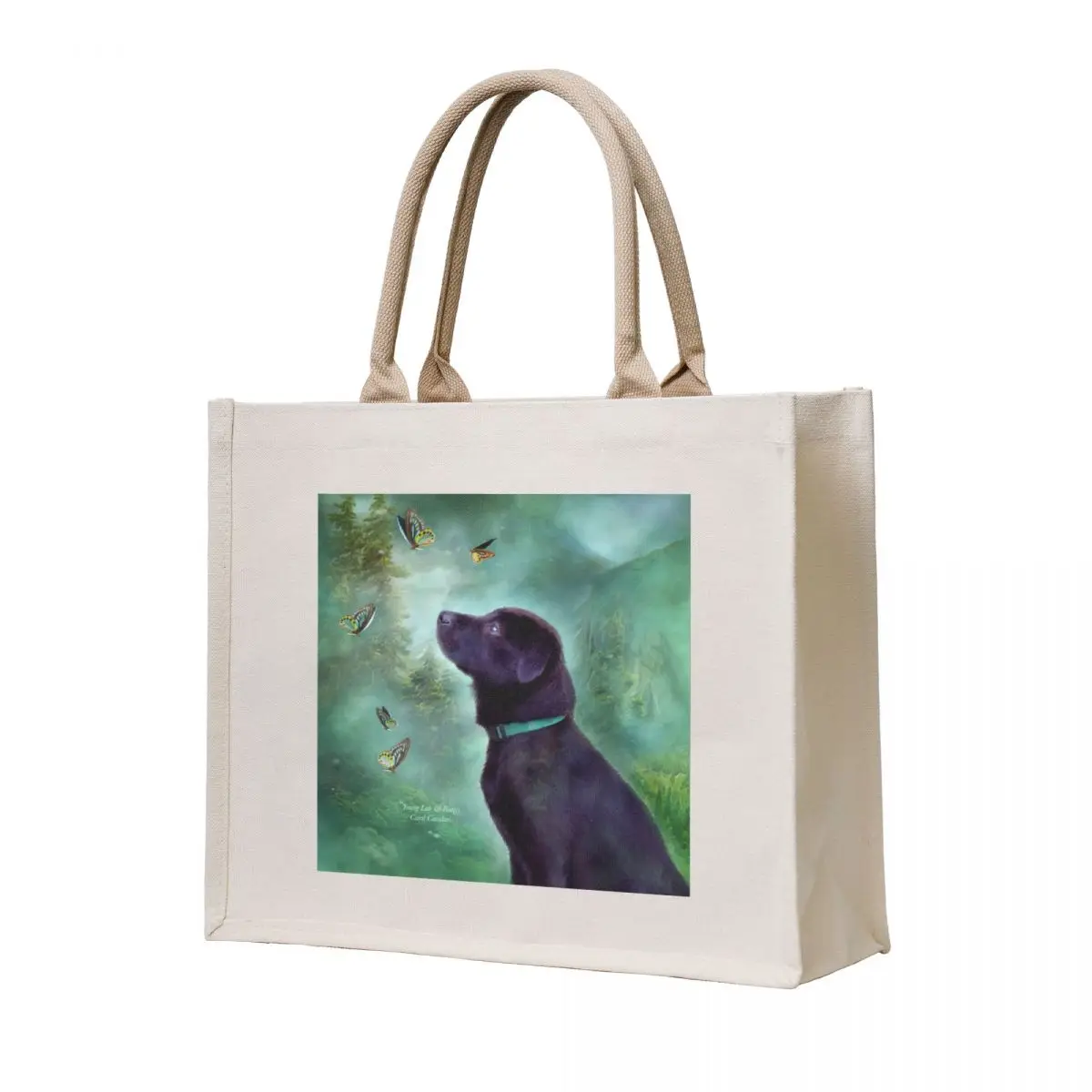 

Young Lab & Butttys Tote Bag free delivery bags Gift bag Canvas Handbags women