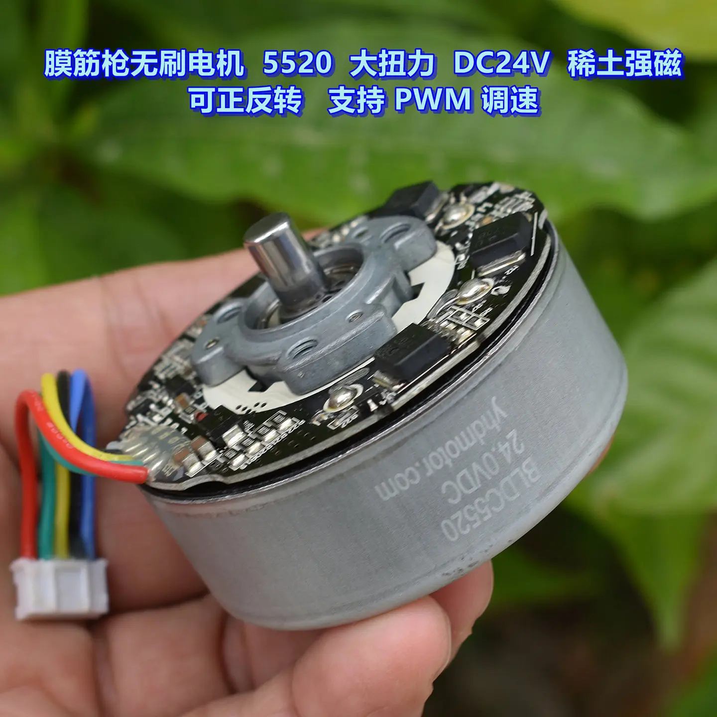 5520 External Rotor Brushless Motor DC 24V High Torque Support PWM Speed Regulation for Fascia Gun Brushless Motor