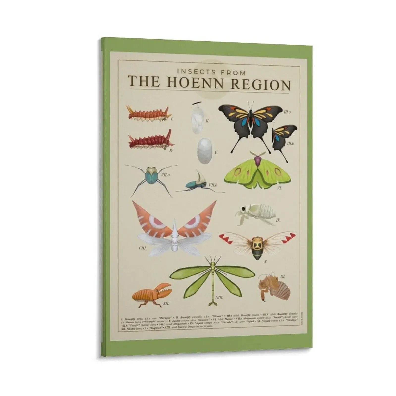 

Insects from Hoenn Canvas Painting Wall decoration poster Decoration for home home decoration accessories nordic home decor