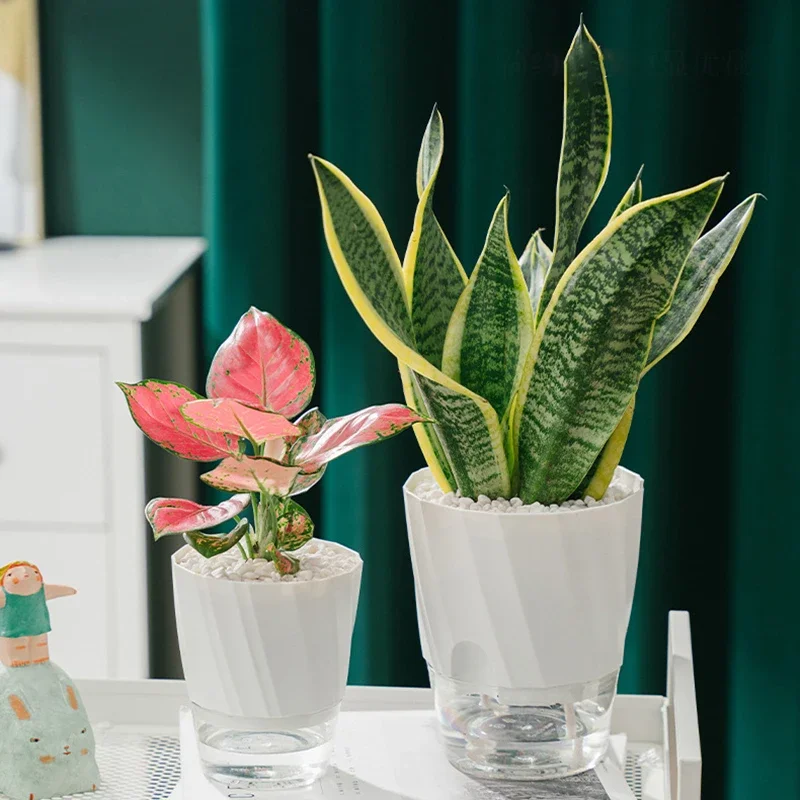 Lazy Hydroponic Flower Pot Automatic Water-Absorbing Flowerpot Transparent Double Layer Plastic Self Watering Planter Office - view 3