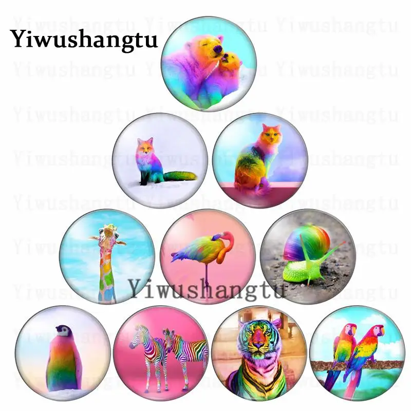Painted colour animal pictures dog bird cat tiger 12mm/20mm/25mm/30mm Round photo glass cabochon demo flat back Making findings