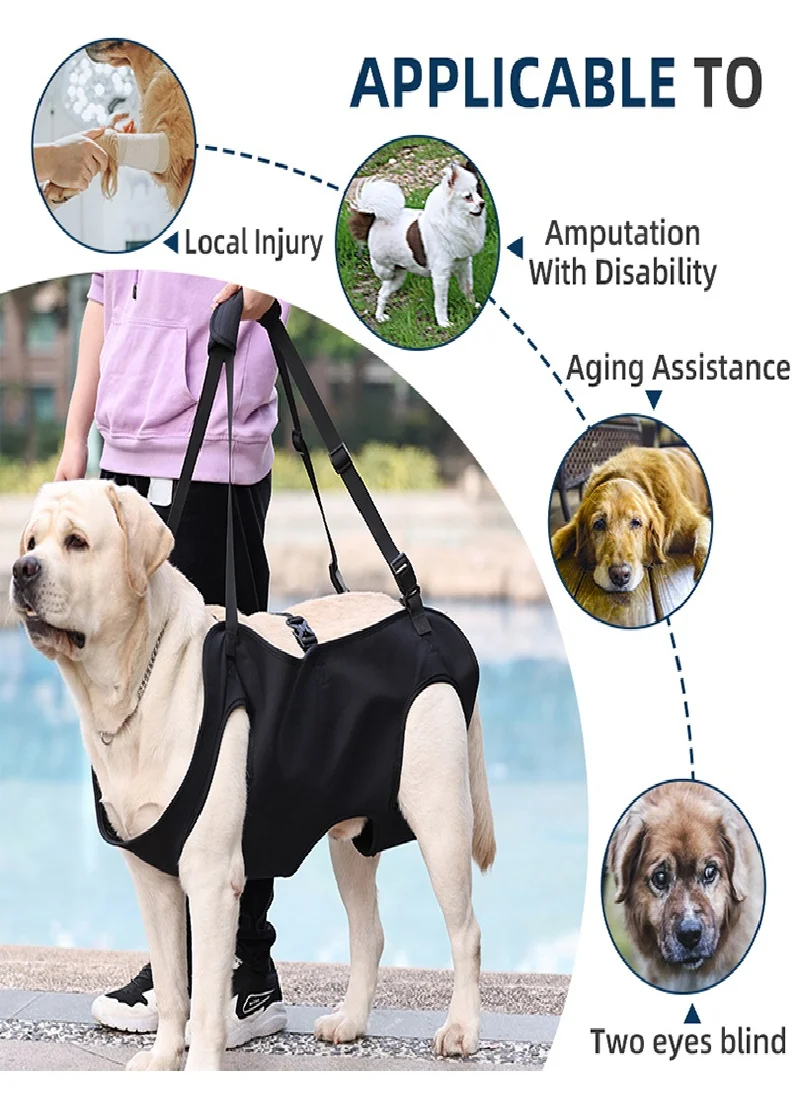 Dog Body Support Harness for Injured Disabled Elderly Dogs Pet Dog Soft Carrying Injuries Recover Support Harness Pet Supplies