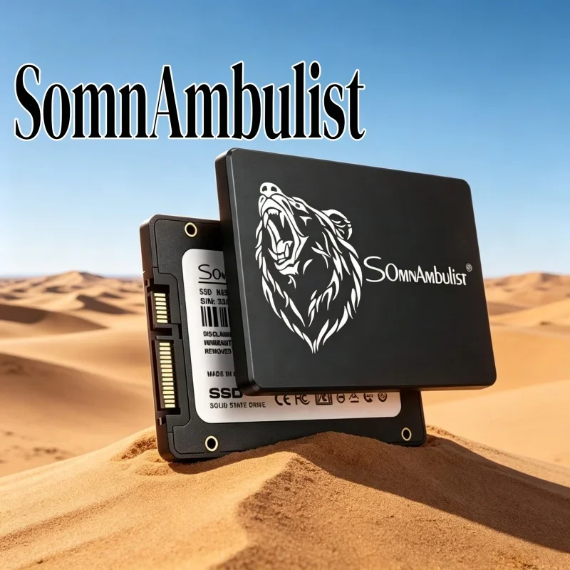 

Stable 2.5 Inch Internal SSD 128GB to 2TB from SomnAmbulist, Cost-Effective for Desktop and Laptop Home Upgrade