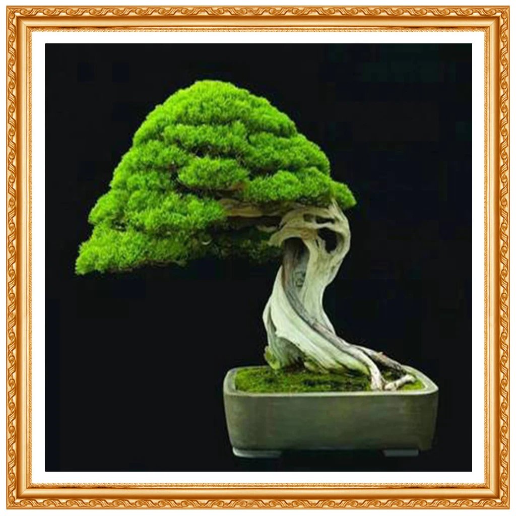 5D Diy Diamond Painting Cross Stitch Evergreen Tree Bonsai Diamond  Full Diamond Embroidery Rhinestone Gift Decoration Kit