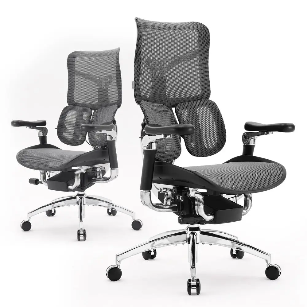 

Doro S300 Ergonomic Office Chair, Computer Chair, Gaming Chair with Dual Dynamic Lumbar Support, 6D Coordinated Armrests, Adjus