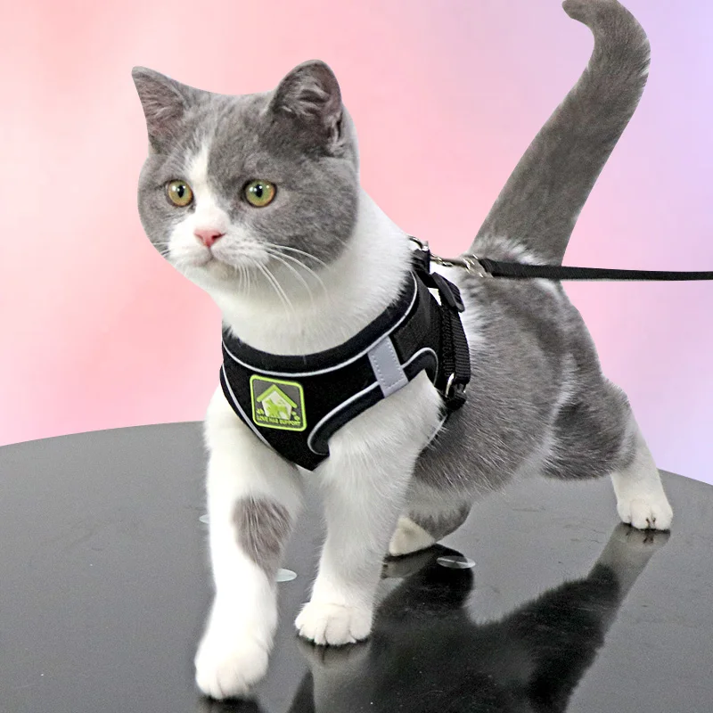 

Cat Traction Rope Anti-break Free Vest Type Cat Walking Rope British Short Going Out Special Cat Chain Pet Chest Strap Dog leash