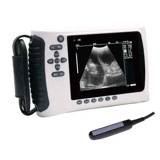 Cheap handheld pet vet portable equine cow sheep large animals  veterinary equipment ultrasound