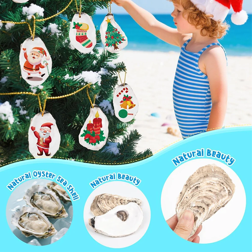 

Creativity Unleashed Sea Shells For Crafting 20 Packs Shells For Theme Party Natural Growth 20pcs 10-12cm