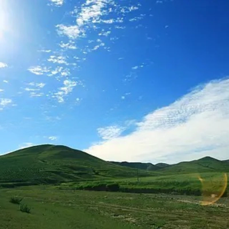 

1PCS MATEK SERVO PDB with BEC 5.5-36V TO 5-8.2V BEC Voltage Power Module 5V/6V/ 7.2V/8.2V Servo Distribution Board For RC Drone