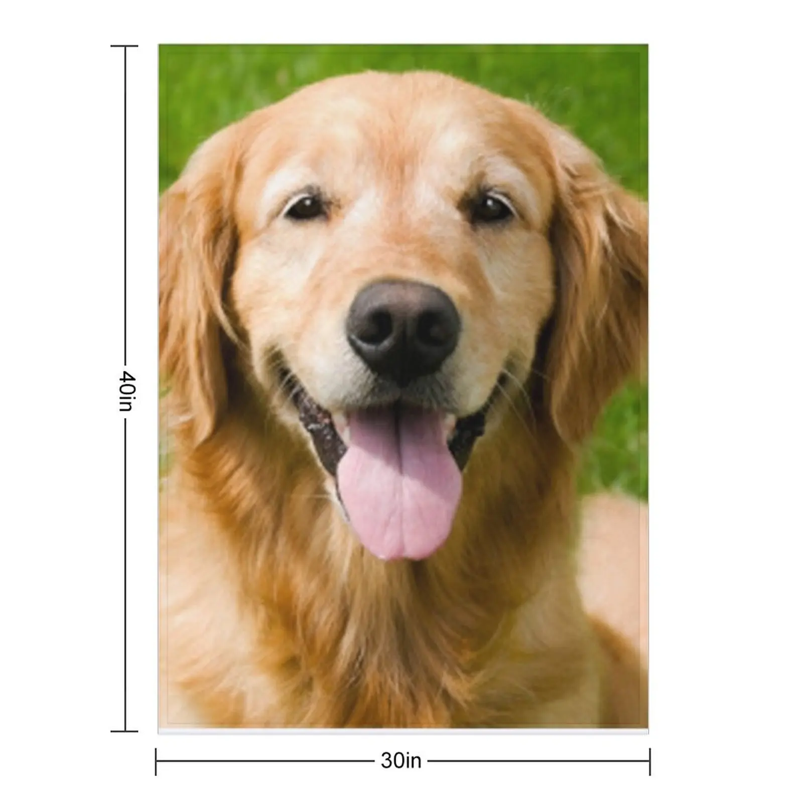Labrador Throw Blanket blankets ands Luxury Winter beds cosplay anime Blankets