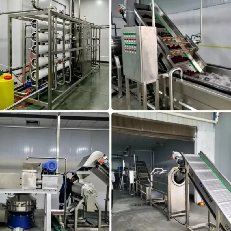 Concentrated Tomato Paste Production Line Ketchup Make Machine Tomato Sauce Process Equipment for Food Plant Custom