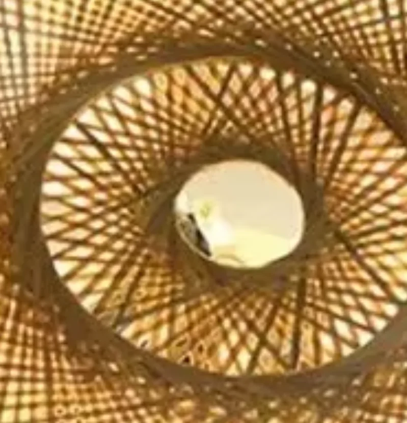

Rattan Flush Mount Ceiling Lights Fixture Boho Handmade Ceiling Chandelier Home Decorative for Bedroom Kitchen Foyer
