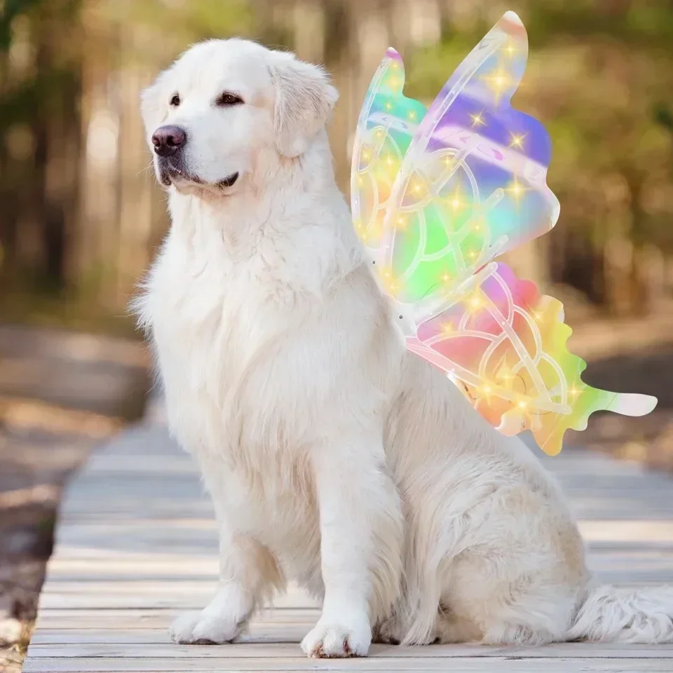 Electric Butterfly Wings Luminous Toy Butterfly Back Flower Fairy pet accessories dog accessories pet supplies