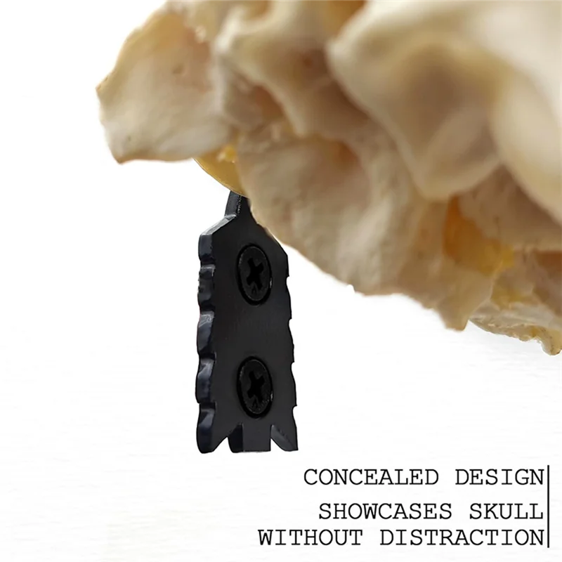 

ABKD Европейская вешалка для крепления черепа оленя, европейская настенная вешалка для черепа для головы оленя и других меньших черепов, крепление для черепа